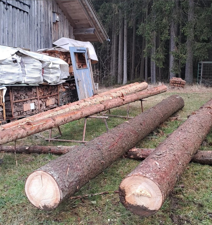 Holz_1.jpg