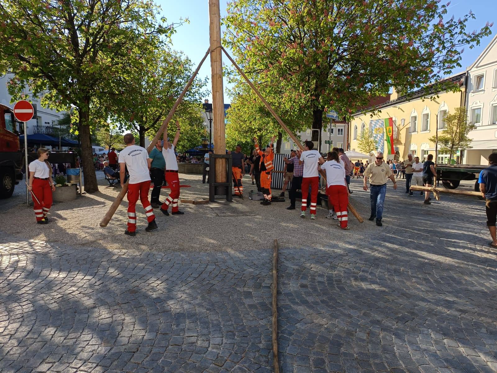 Maibaum_25_2.jpg